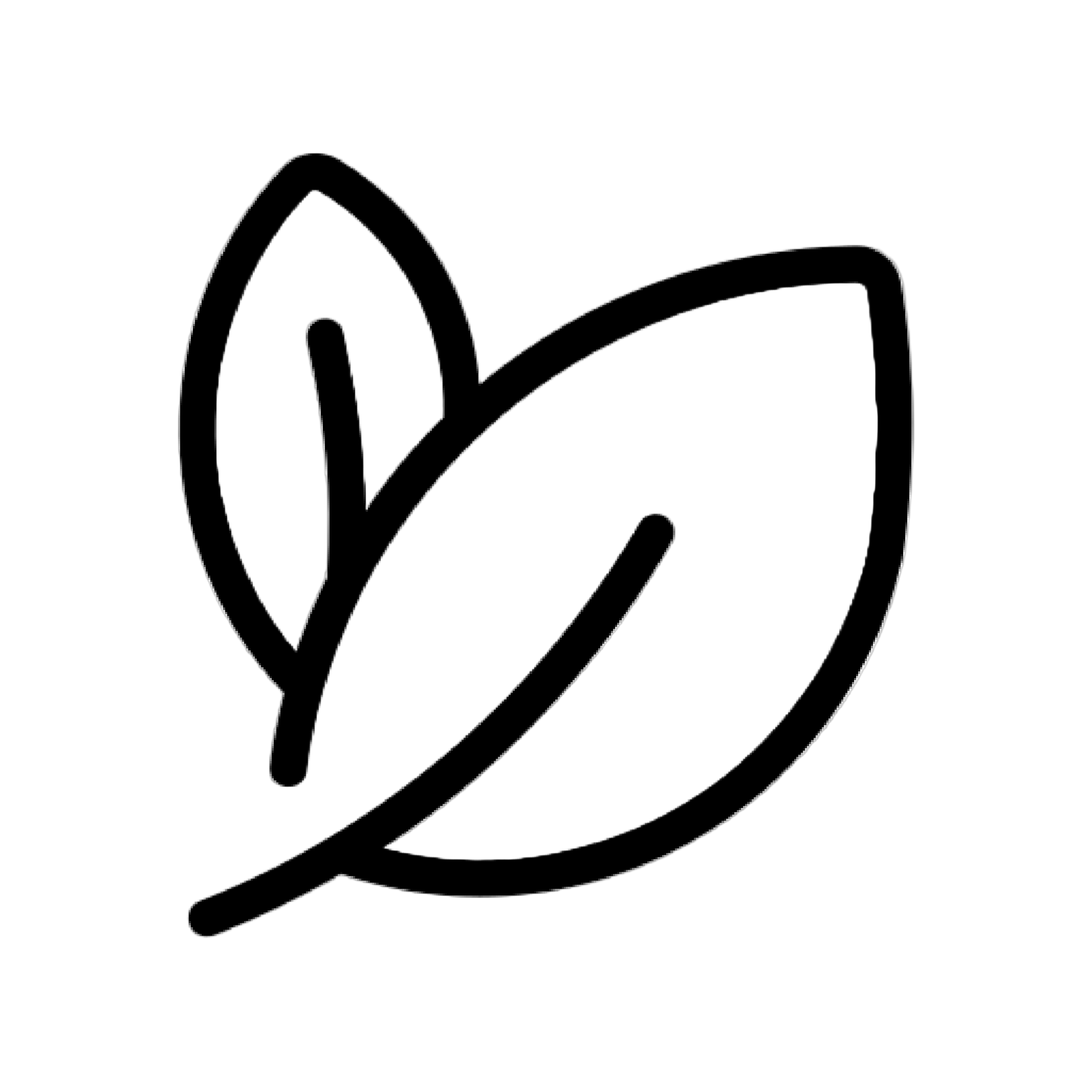 leaf-01 (1).png__PID:eeb1feb3-4159-4ac2-a081-ce34223a76ce